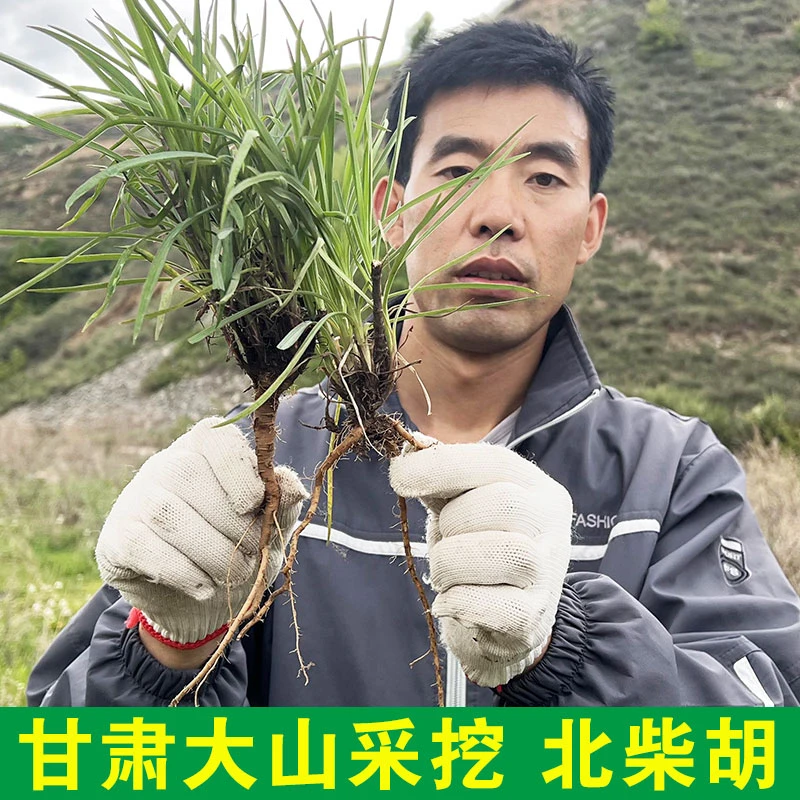 野生北柴胡小黑柴胡天然无硫250克500克