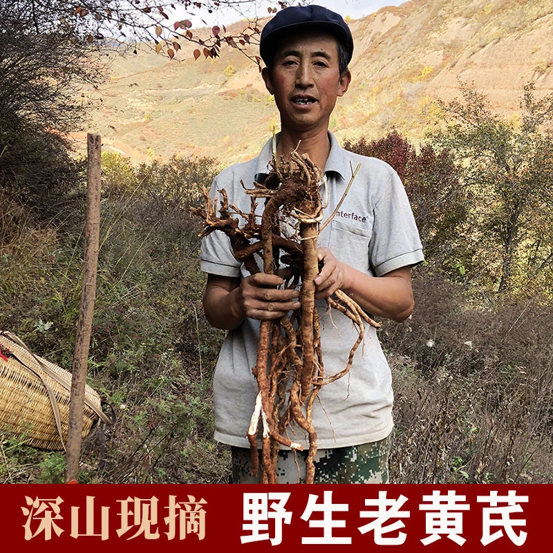 甘肃野生黄芪小片正北芪黄芪条无硫干货农家特产