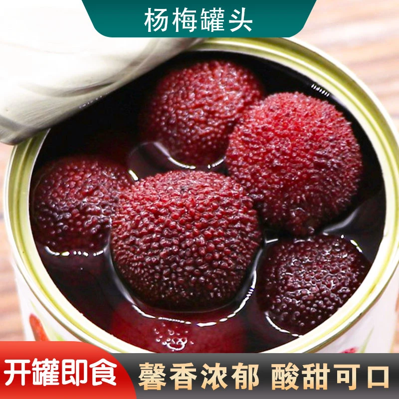 新鲜杨梅罐头糖水杨梅水果罐头追剧饮料休闲零食JX