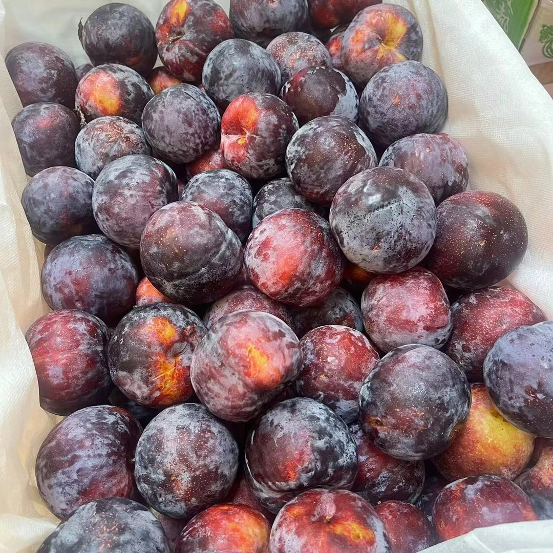 【果然果语】黑布李特大号两斤