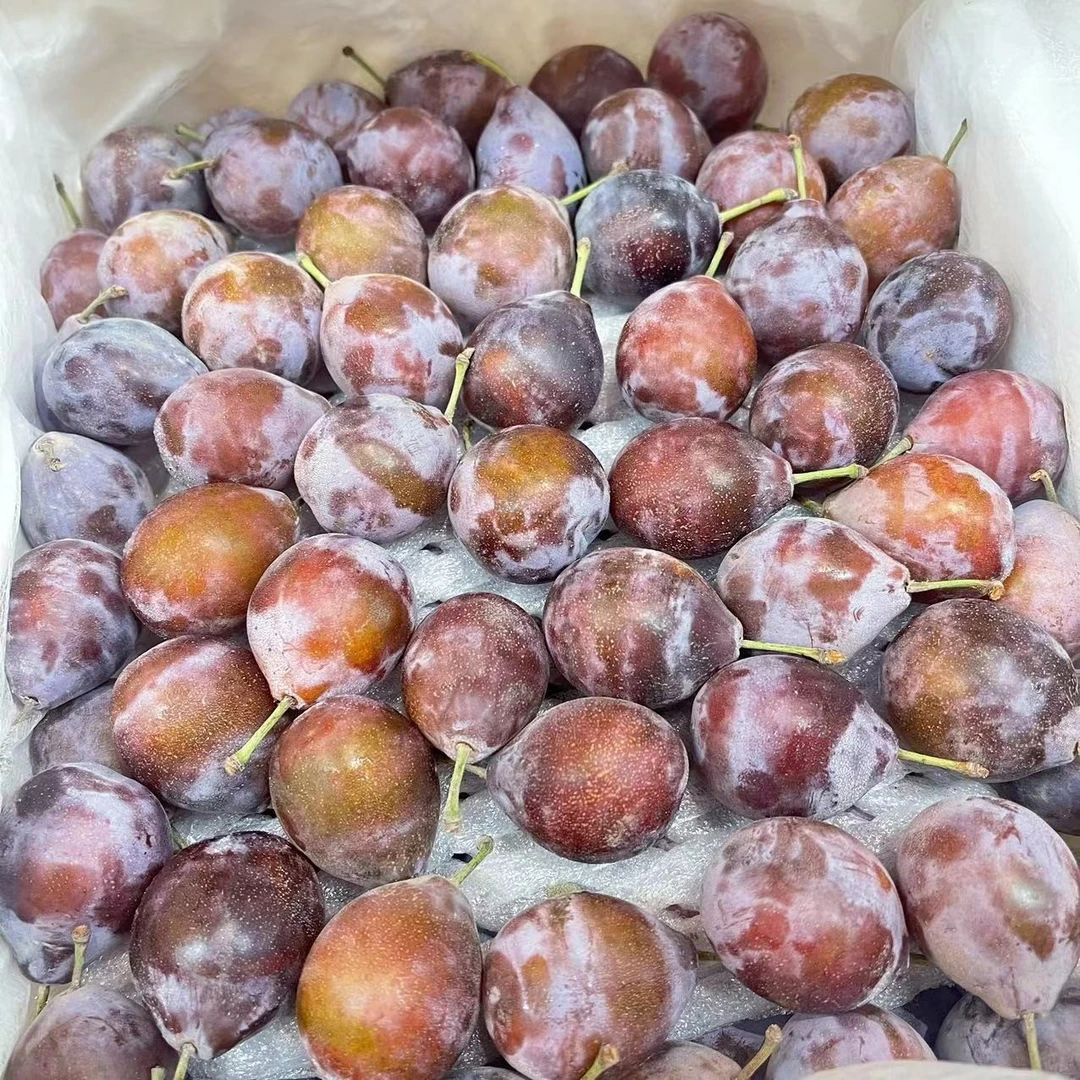 【果然果语】西梅一斤装