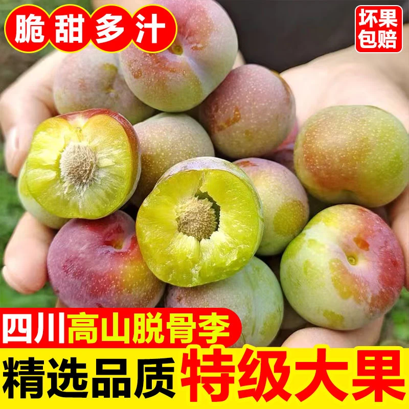 宜宾茵红李半边红脆李子脱骨李酸甜多汁产地果园直发应季新鲜水果