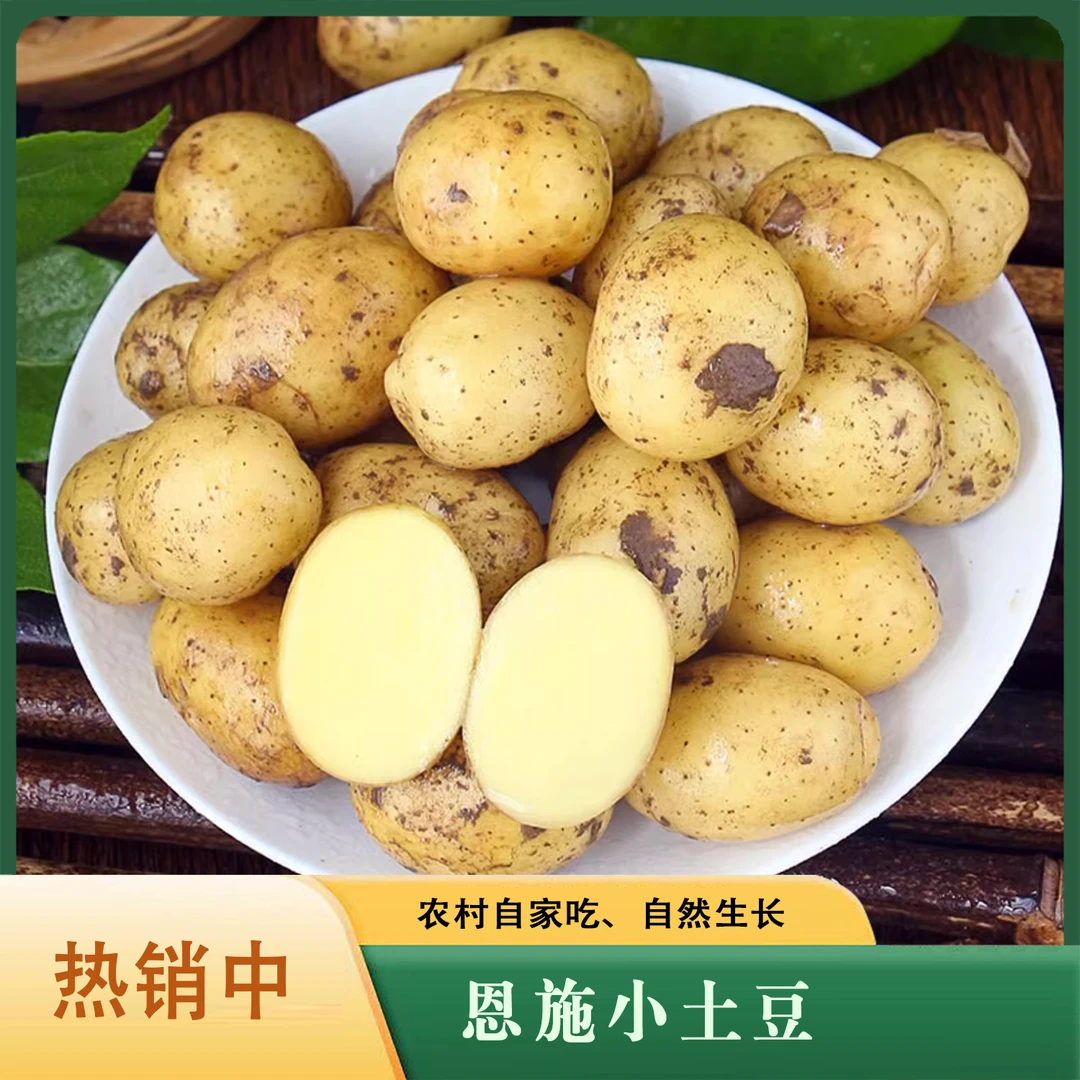 【恩施土豆】马尔科包邮新鲜嫩洋芋农家食用美味细腻饱满皮薄原生