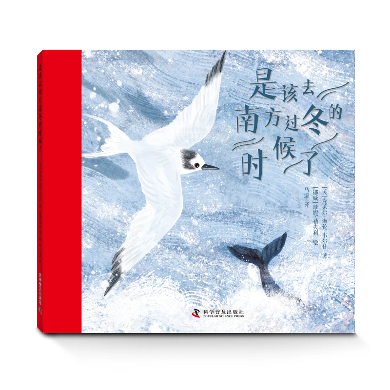 【微瑕】是该去南方过冬的时候了 与燕鸥一起经历成长之旅