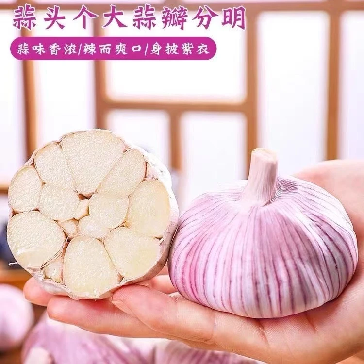 【新店开业】24年新干蒜金乡大蒜紫皮大蒜头晒干大蒜农家多瓣蒜