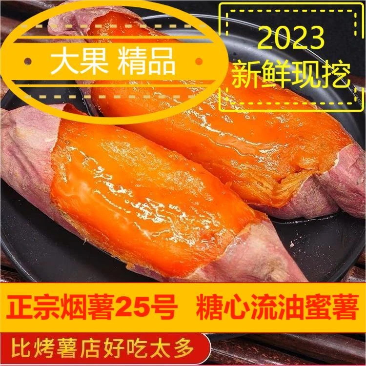 TXHN2山东沙地烟薯25号5斤中大果产地直发糖心蜜薯烤地瓜番薯红皮