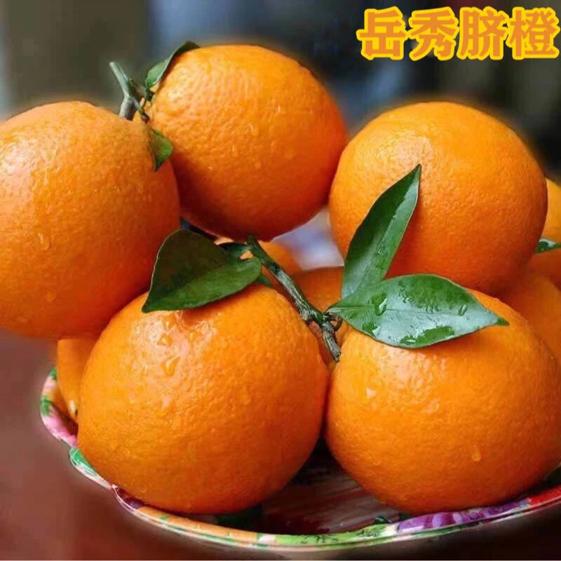岳秀脐橙尝鲜10斤装，偏远地区不售后