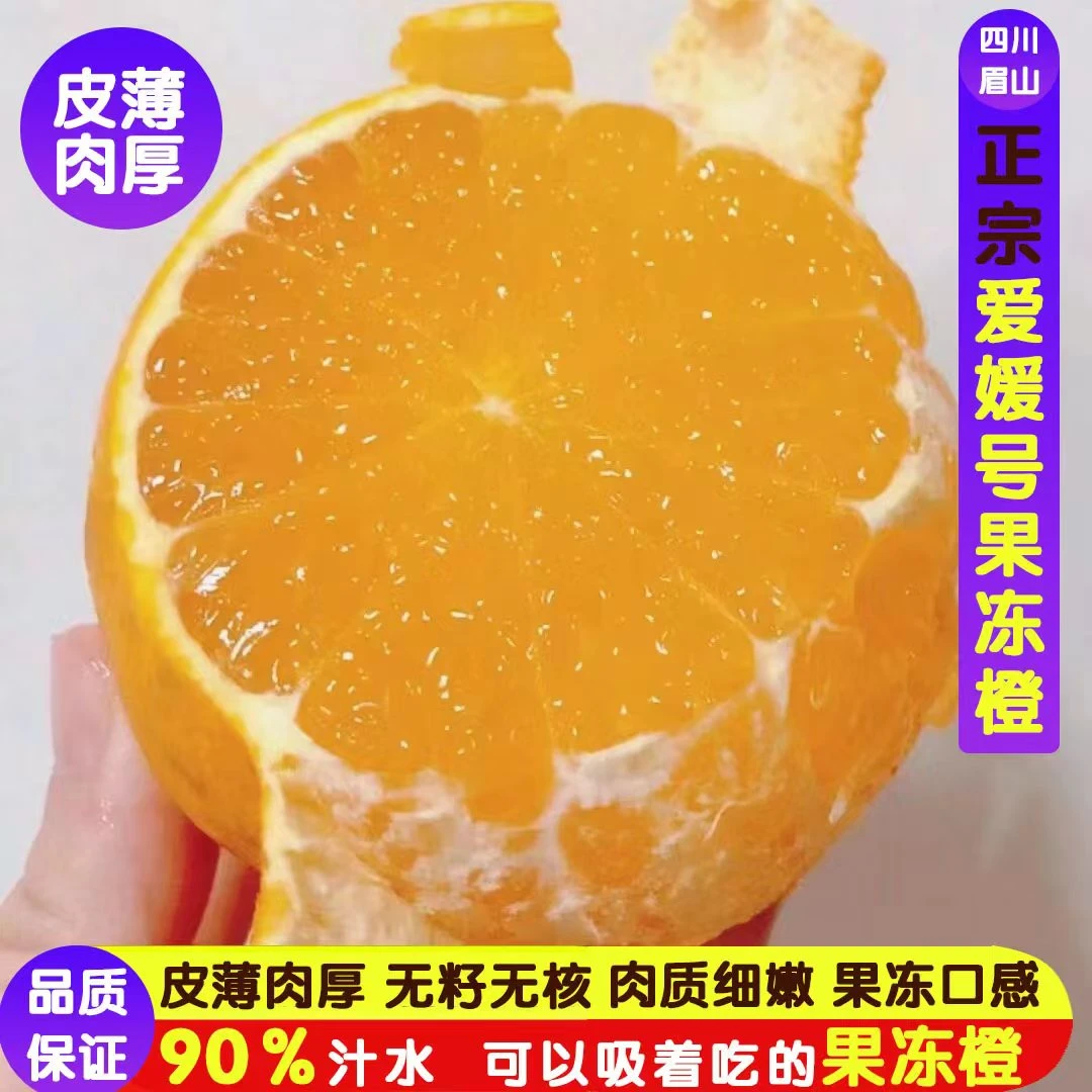 正宗四川爱媛38号果冻橙橙子新鲜当季水果弹射孕妇手剥橙