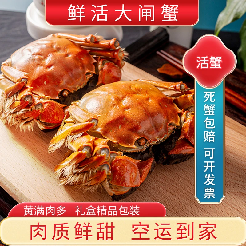 【活蟹】大闸蟹全母2.0两8只鲜活螃蟹