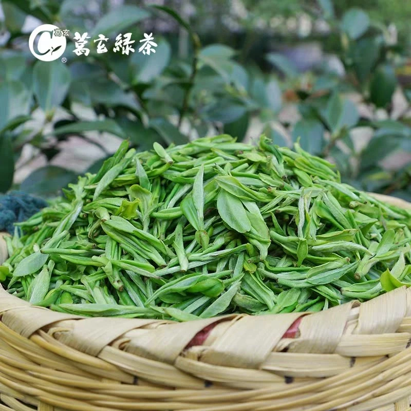 2025新茶葛玄绿茶天台山云雾茶浙江高山绿茶春茶谷雨前云雾茶浓香
