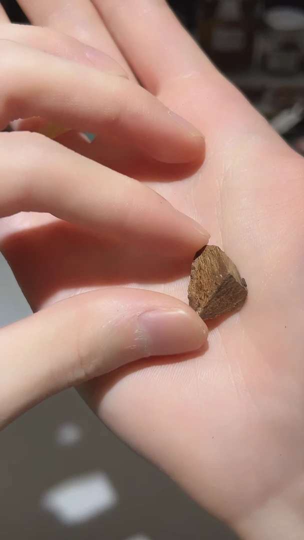 【闪购商品】沉香手把件越南奇楠种0.9g