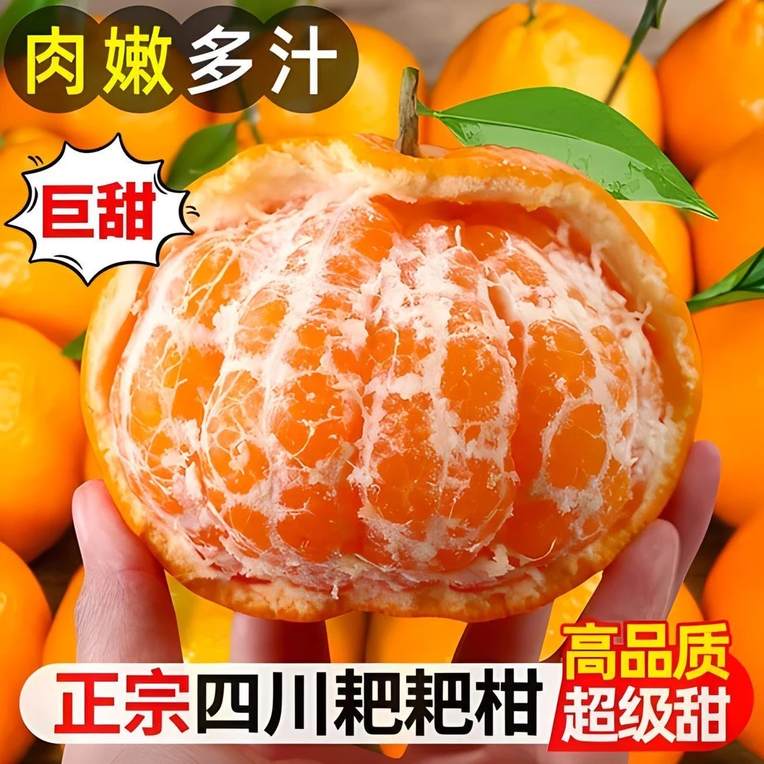 【官方推荐】四川耙耙柑橘子新鲜水果丑八怪当季榨汁香甜皮薄甜春