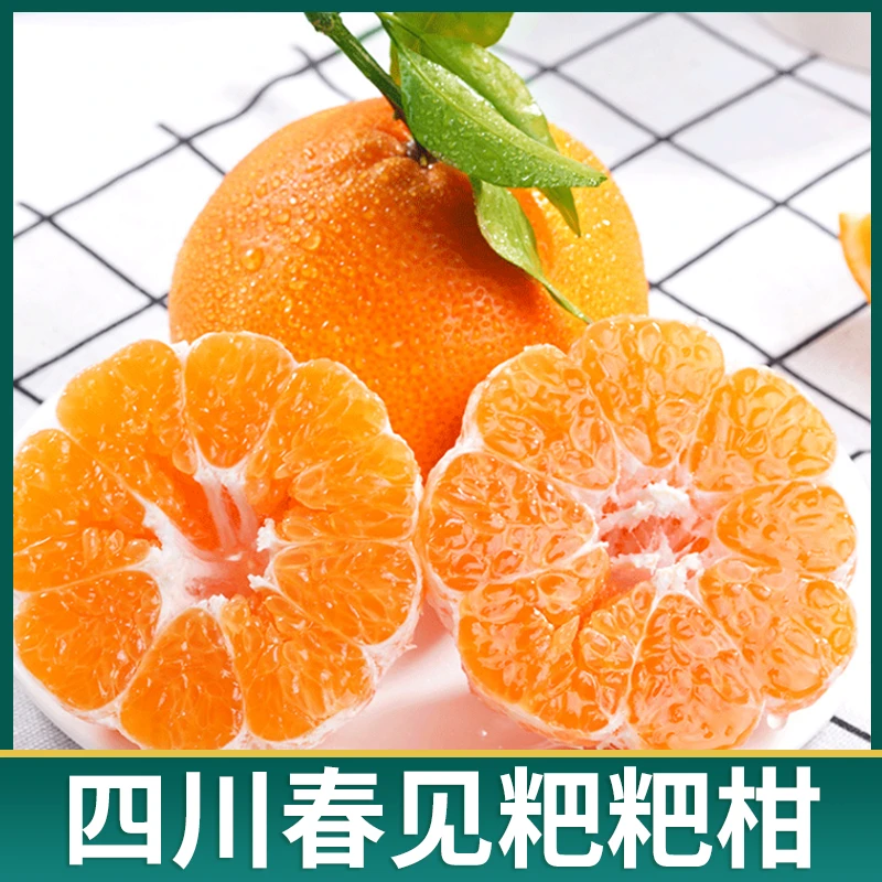 果辑【自然成熟】四川春见耙耙柑新鲜应季特产丑橘皮薄发货新鲜采摘