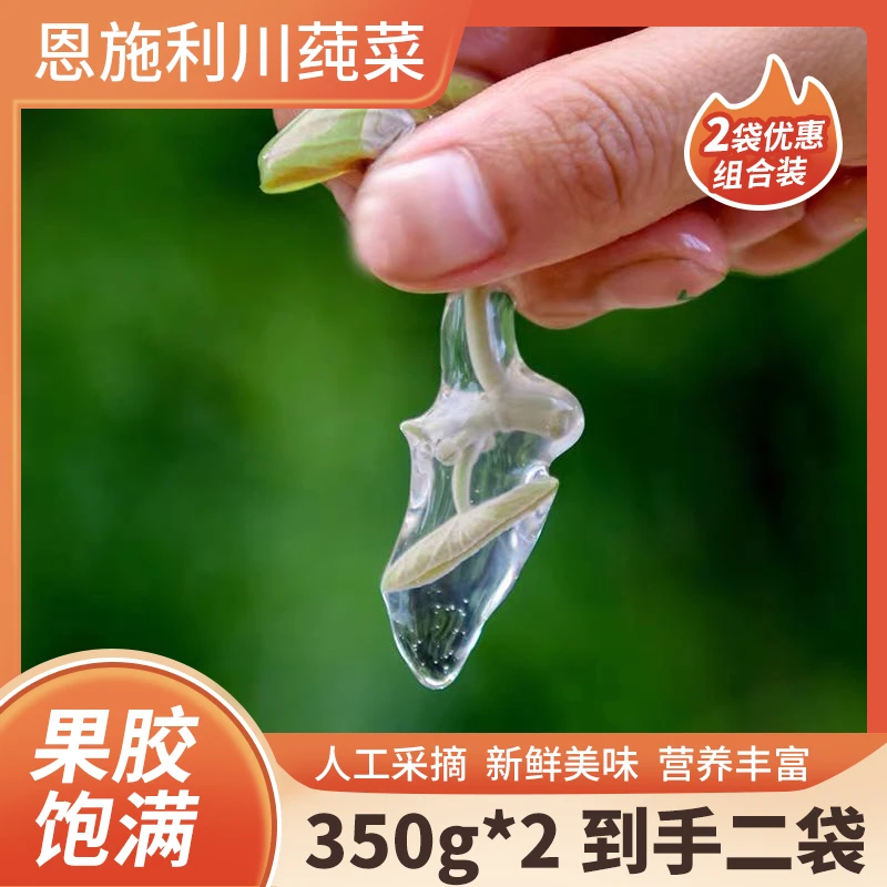 【不落一个】恩施利川莼菜恩施莼菜农家种植350g*2袋