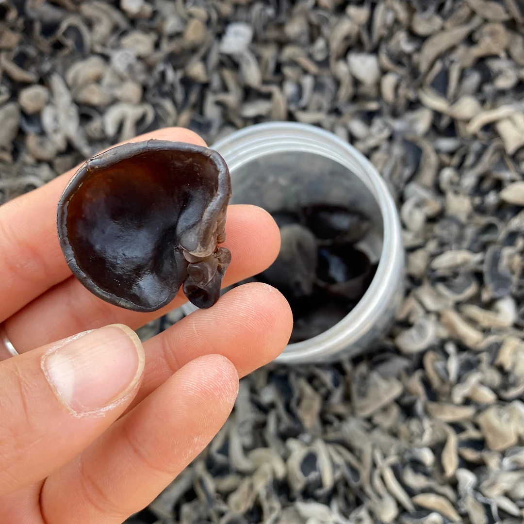 【源产地】长白山山泉水黑木耳250克/500克农产品食用