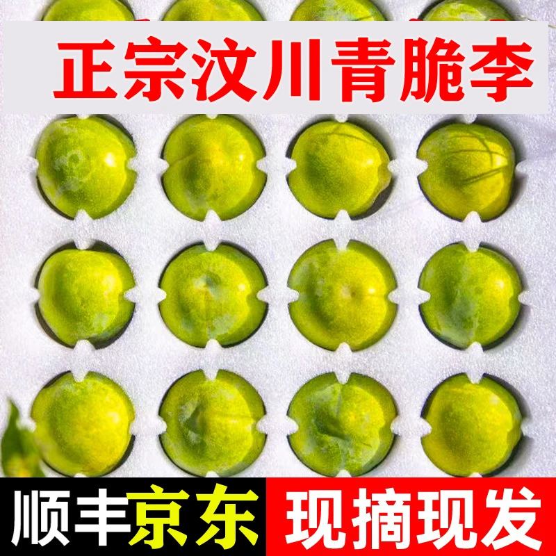 （京东顺丰随机包邮）四川汶川品种大棚青脆李脱骨李脆甜李子3斤5斤
