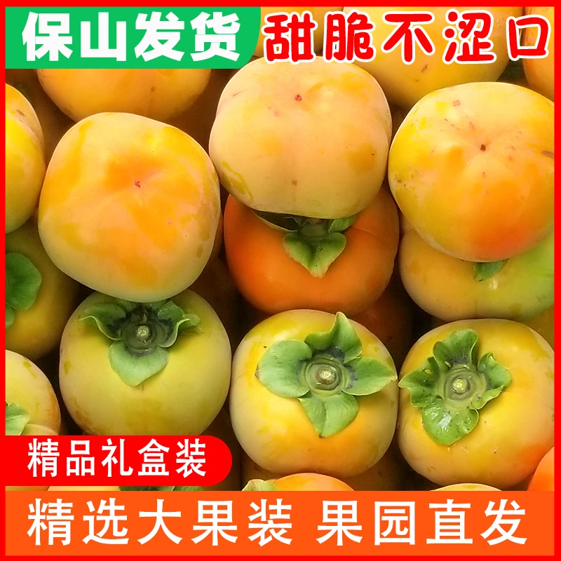 【顺丰包邮】保山脆柿礼盒装12个精品甜柿3至4两精选果6个水果礼盒