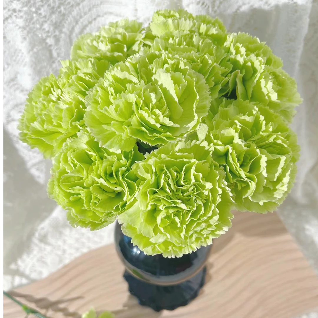 绿色单头康乃馨云南基地鲜花冷链发货所有鲜花运费只需8＋购物车