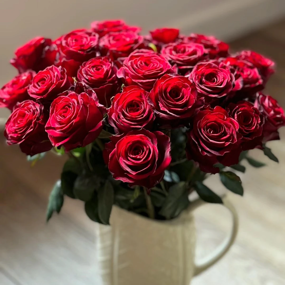 高原红单头玫瑰云南基地鲜花冷链发货所有鲜花运费只需8＋购物车