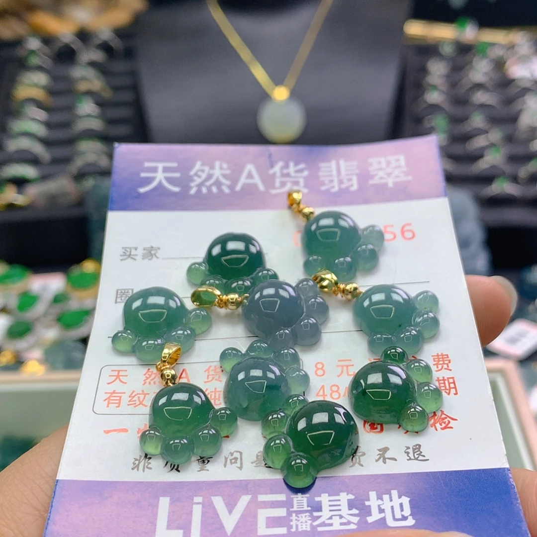 【闪购商品】翡翠颈饰未镶嵌