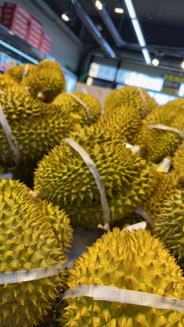 树熟金枕榴莲