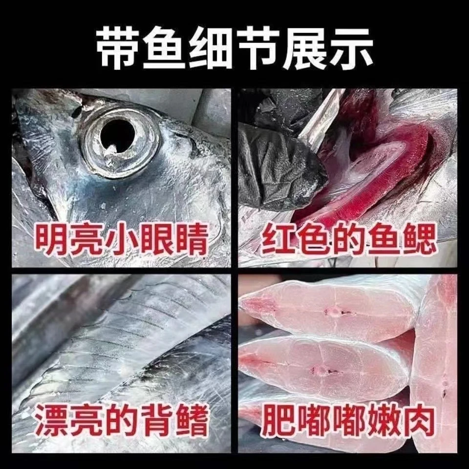 带鱼段国产海捕冷冻锁鲜东海新鲜小眼油带鱼中段大段可香煎500g