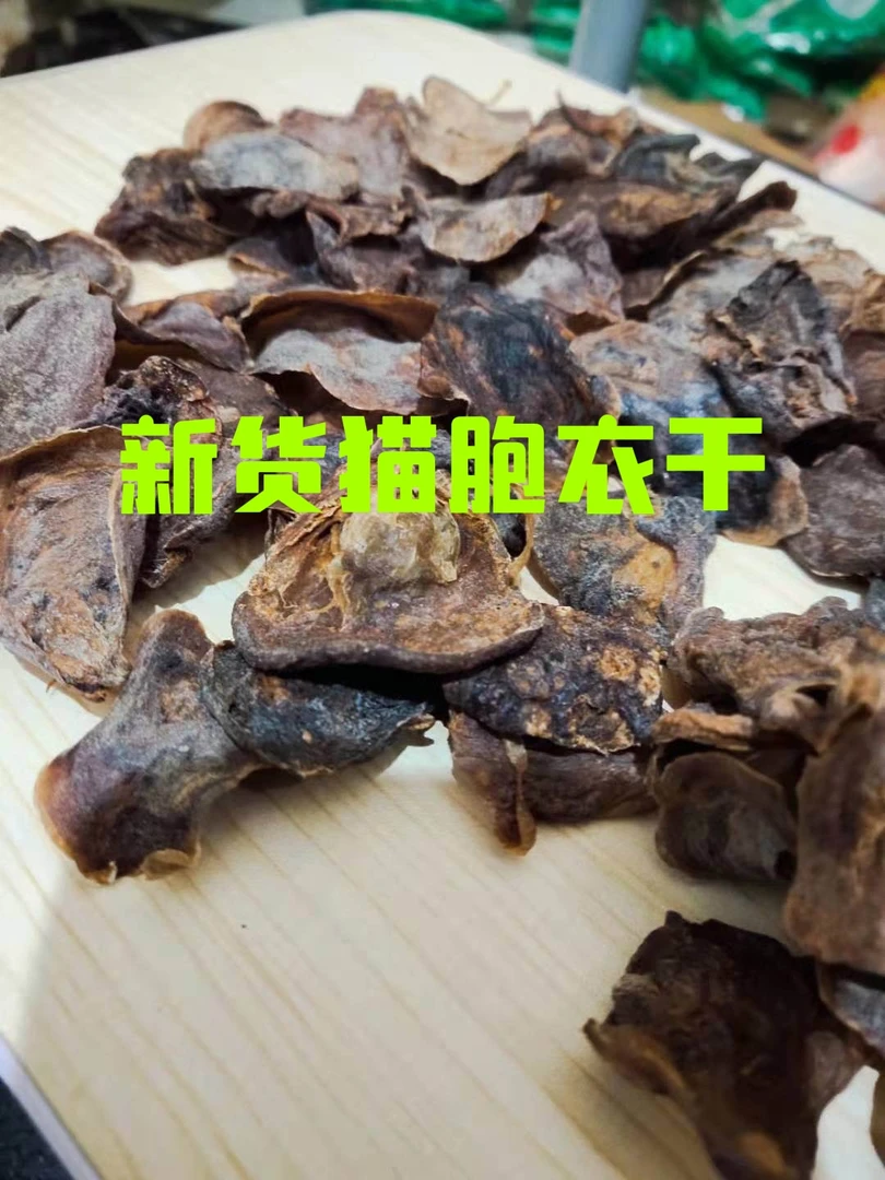 干猫包衣 宠物猫包衣 猫咪胎盘 猫胞衣干品 正品