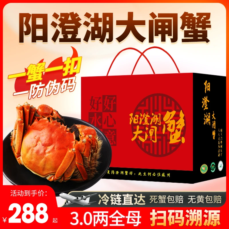 【活蟹现发】【正宗阳澄湖大闸蟹】特大鲜活塘蟹全母盛宴3.0两6-10只