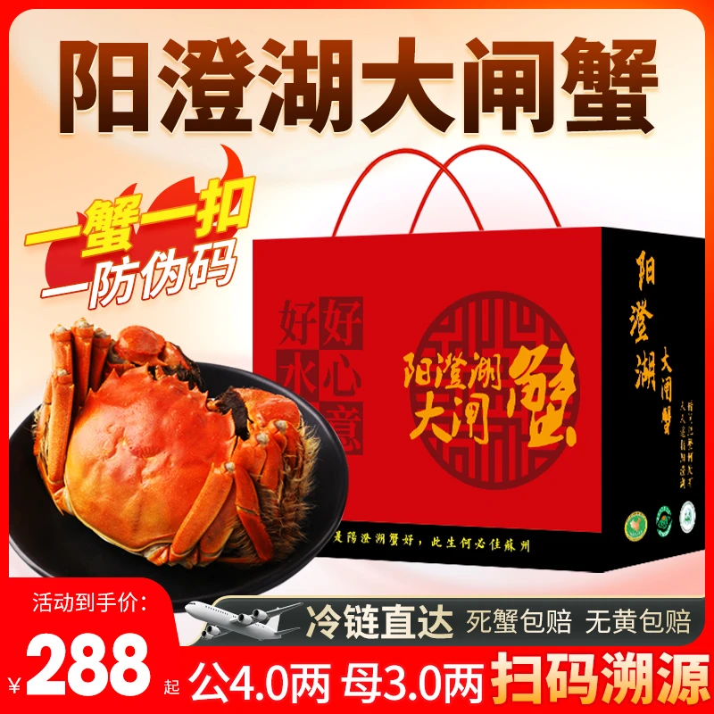 【活蟹现发】【正宗阳澄湖大闸蟹】特大鲜活塘蟹公4.0两母3.0两6-10只