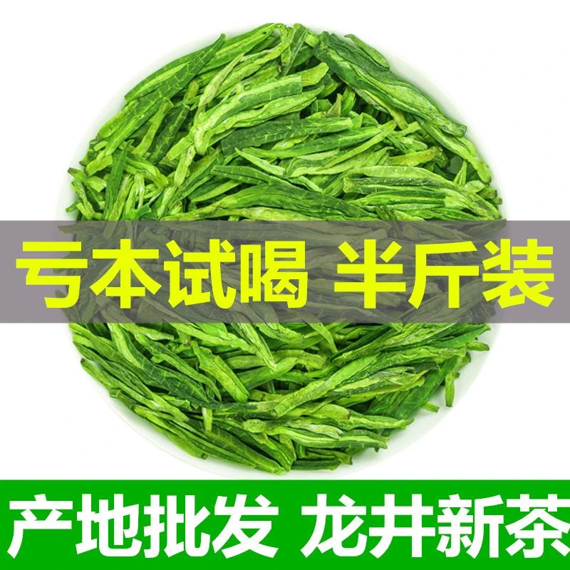 龙井茶叶2023新绿茶豆香型雨前春茶口粮散装龙井茶叶自己喝