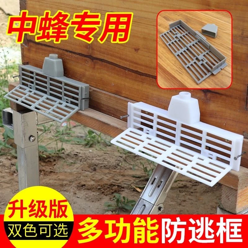 蜜蜂防逃框蜂王防跑片多功能防盗蜂箱巢门隔王片中蜂专用养蜂工具