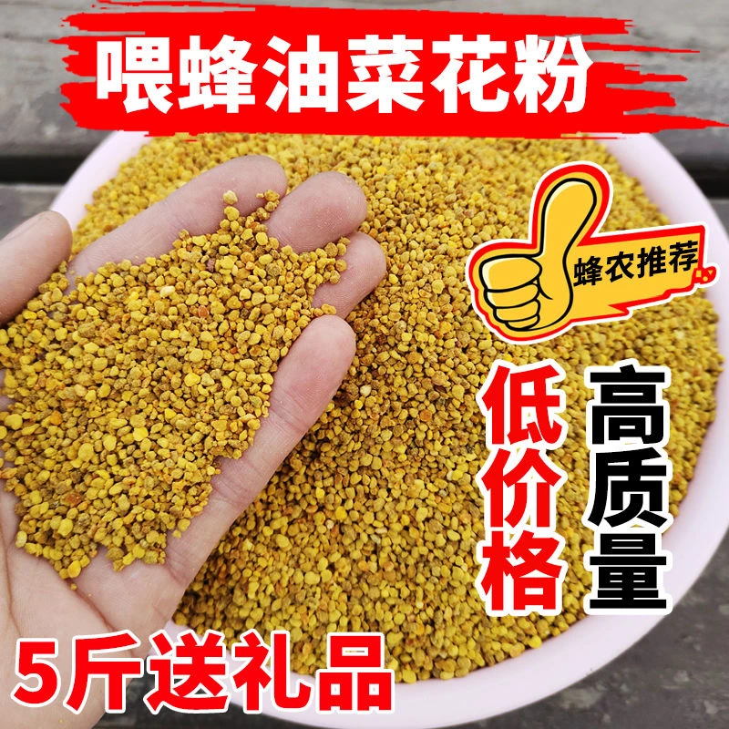 蜜蜂饲料花粉喂蜜蜂天然油菜花粉颗粒养蜂中意蜂专用花粉养蜂蜂粮