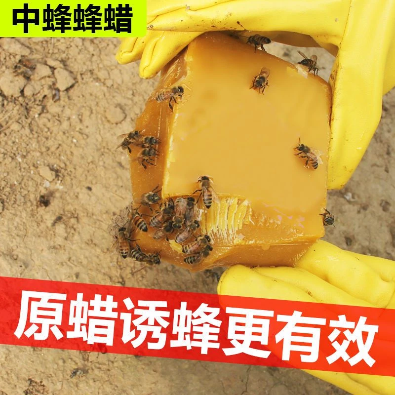 诱蜂蜂蜡天然老脾蜡养蜂招蜂用蜂巢础诱蜜家具抛光蜂箱诱蜂