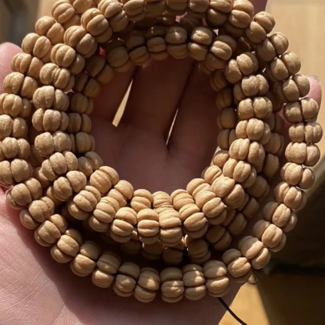 树王籽文玩山楂核五福籽