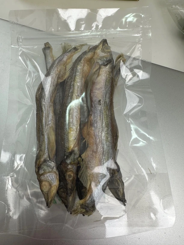 犬猫零食试吃装冻干鸡肉粒营养增肥发腮幼猫粮营养美味宠物不掉毛