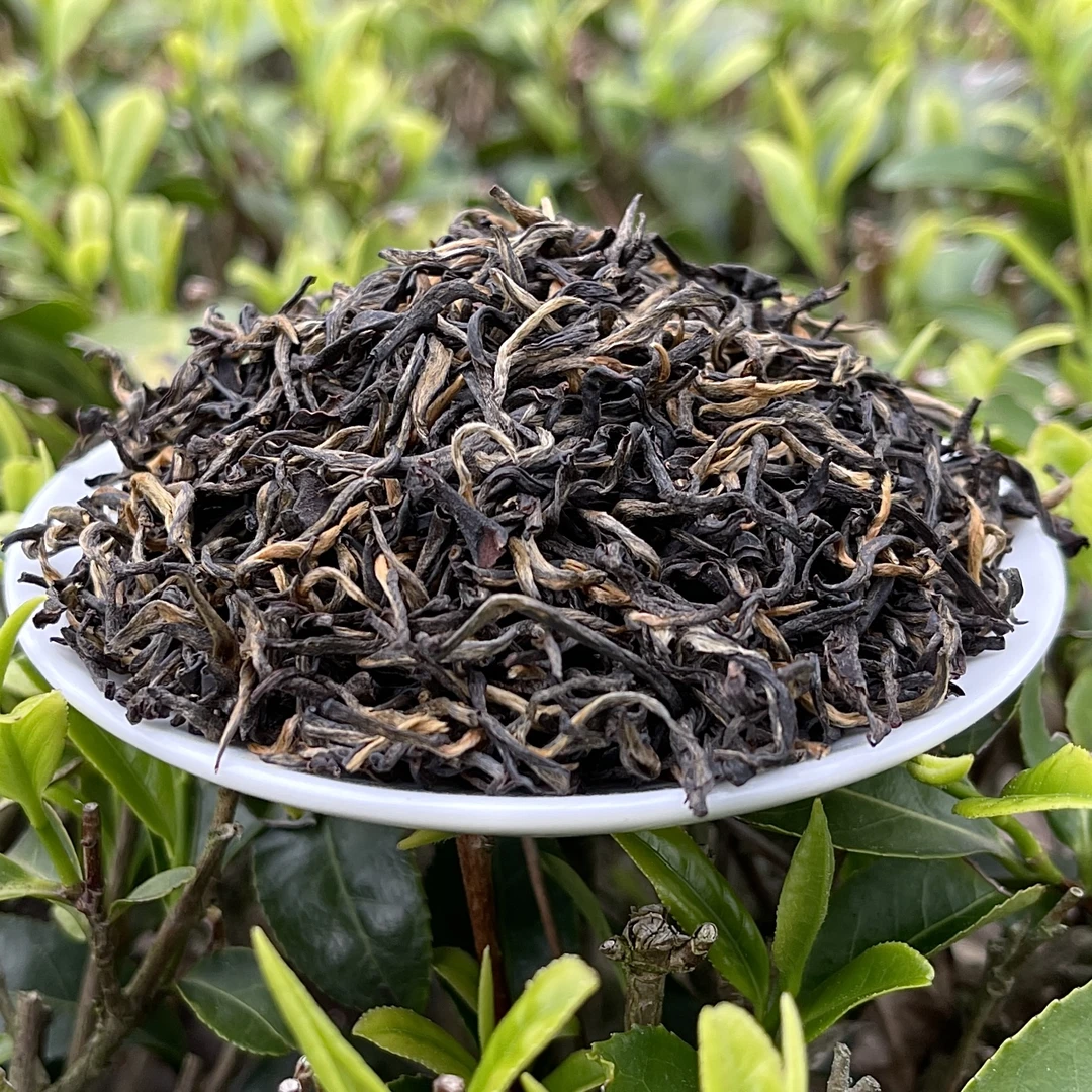 高雅黄金桂金骏眉一芽一叶兰花香手工采摘传统制作高香耐泡好茶