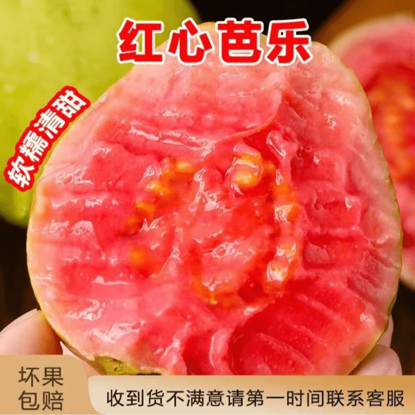 树上熟白心/红心芭乐 3-5斤净重 清甜棉软奶油芭乐 软糯香甜