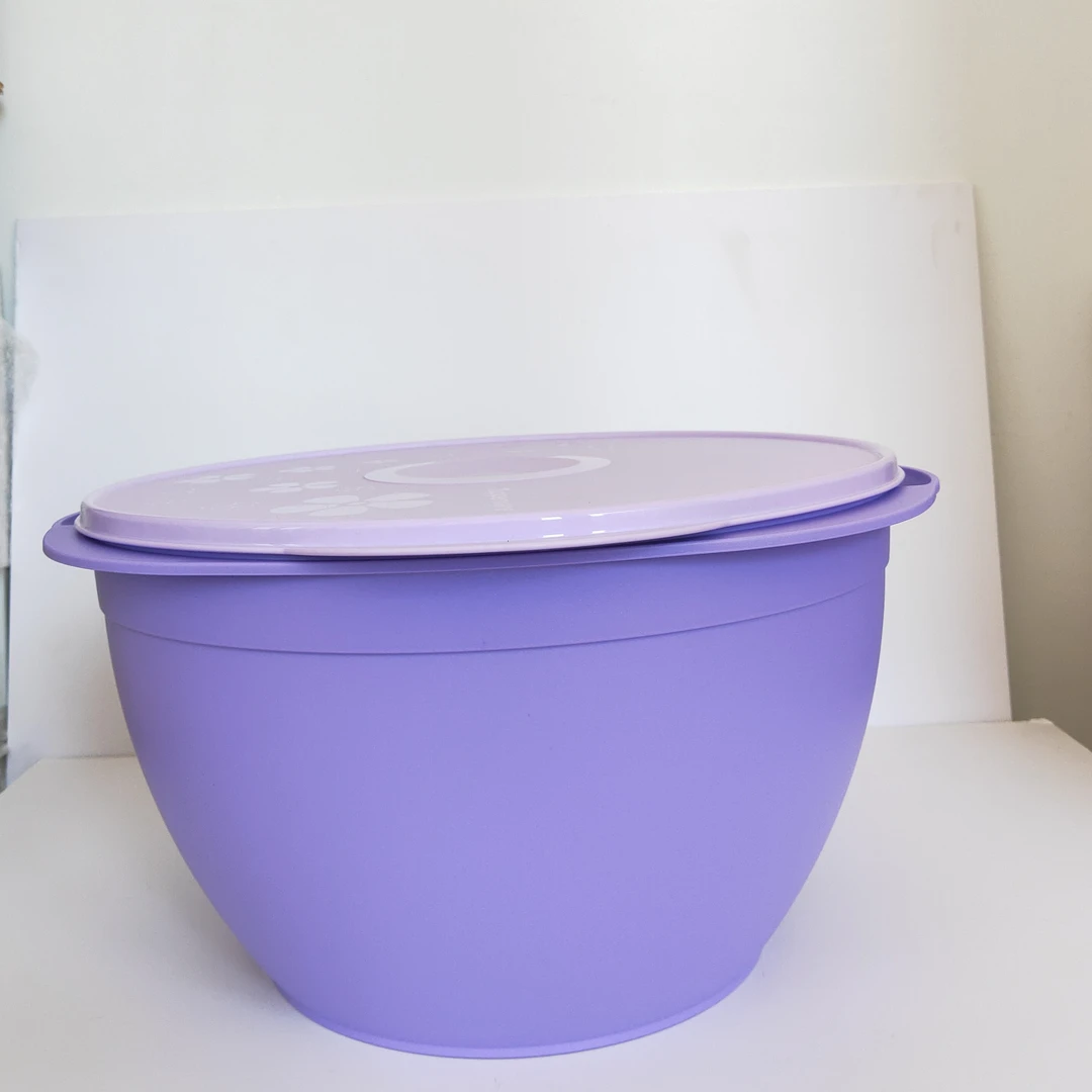 (海)10L紫色 发面盆 冷藏保鲜干货