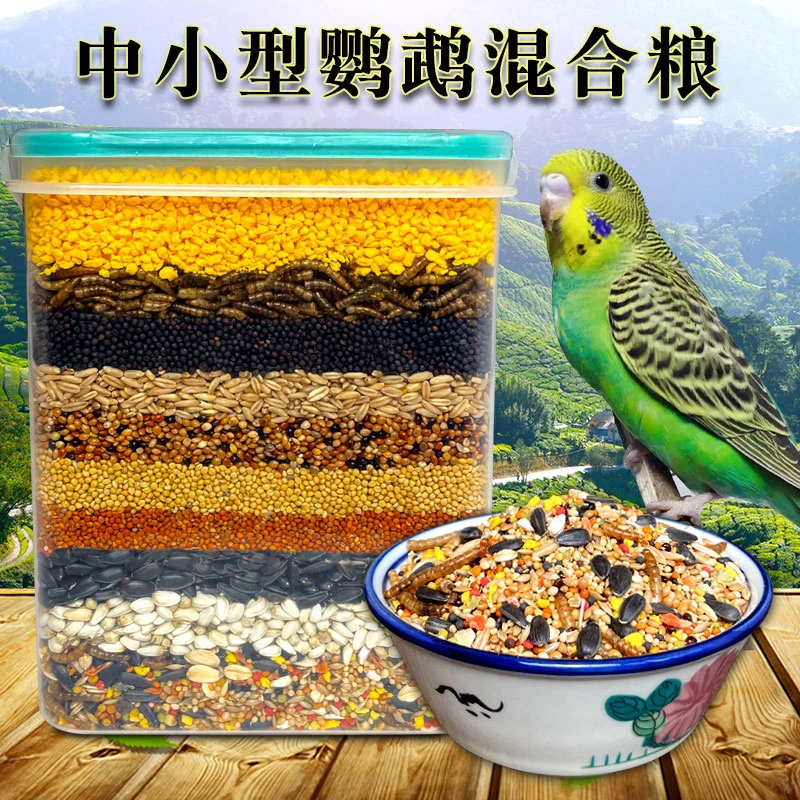炫料鹦鹉鸟粮虎皮鹦鹉玄凤牡丹鸟食带壳黄谷子五色黍子小米混合粮
