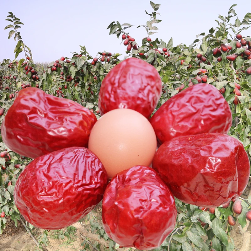 2025年头茬和田大枣王（5厘米左右）新疆原产地新货