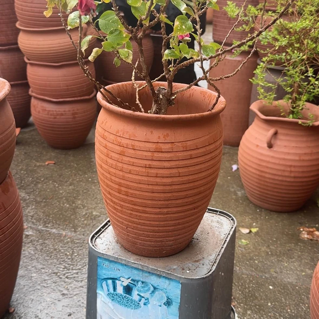 【闪购商品】紫砂花盆口19高25
