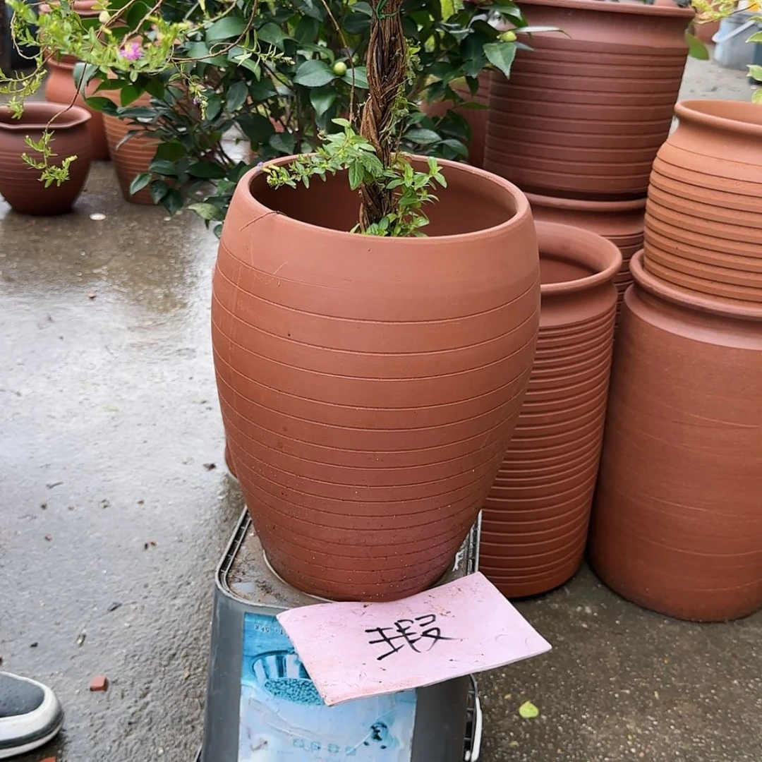 【闪购商品】紫砂花盆口20高32