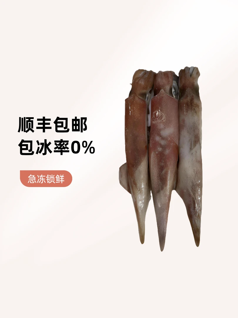 惠来神泉港灯光鱿鱼3-4个500克/盒急冻锁鲜0泡水