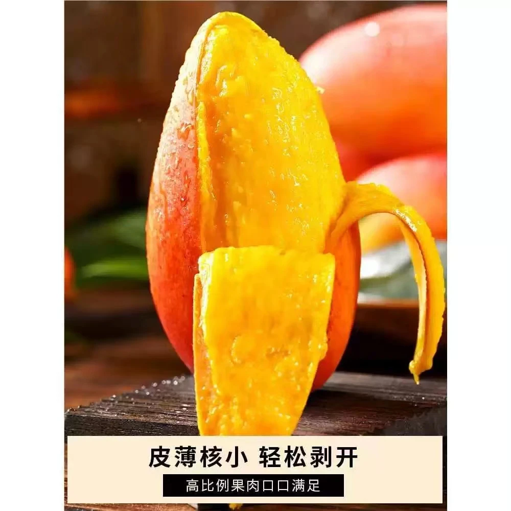 广西百色田东大台农大芒果