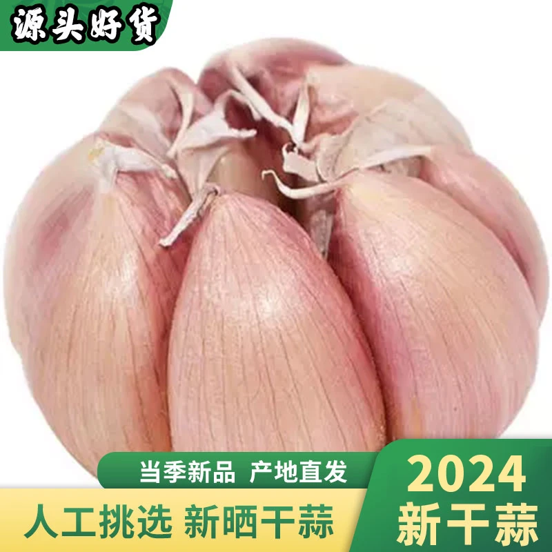 (便宜了)特价新干蒜大蒜紫白皮蒜头金乡特产干大蒜头5斤批发200g