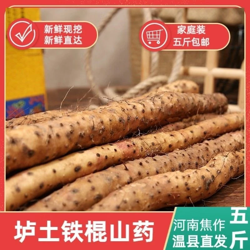原产地直发温县垆土铁棍山药怀山药新鲜采挖自家种植粉糯3斤/5斤