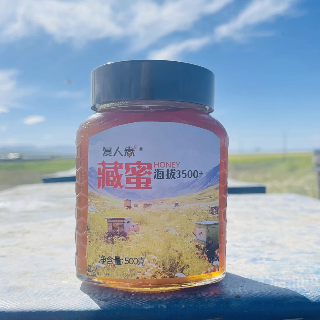 复人春藏蜜（拍2发3） 高原天然野花蜜500g 正宗高原藏蜂蜜 无添加