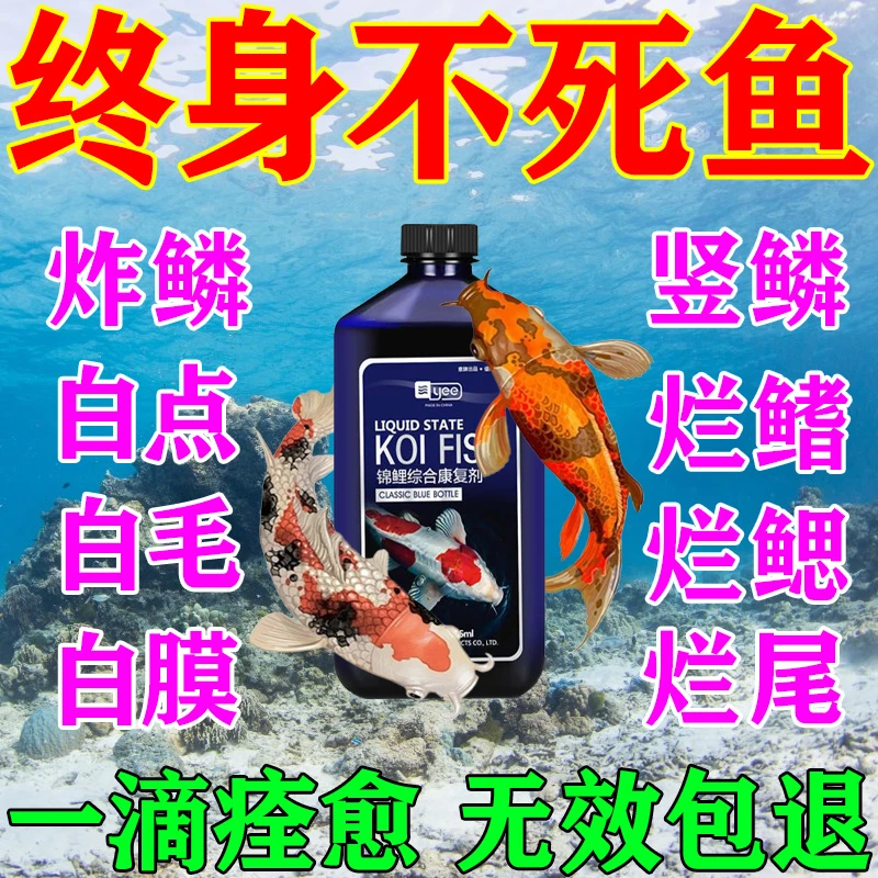 鱼养不死鱼病专用亚甲基蓝烂身烂尾白点白毛水霉多种鱼类康复剂