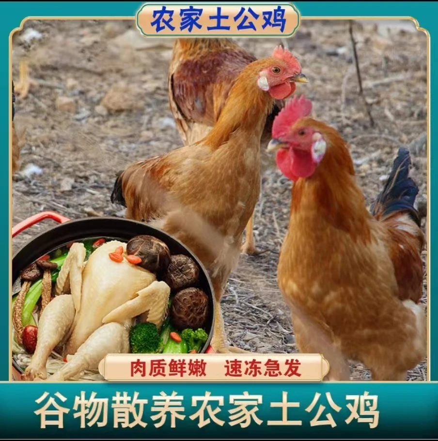 【拍1发3】农家散养土鸡溜达鸡 鲜杀新鲜鸡肉冷链发货