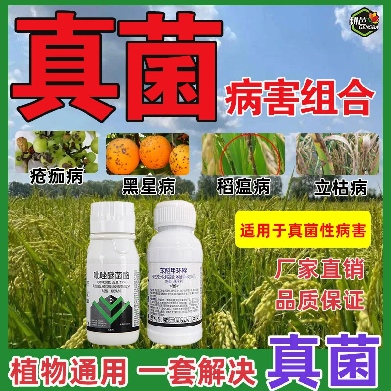 耕芭真菌性病害组合吡唑醚菌酯苯醚甲环唑作物通用套餐喷雾杀菌剂